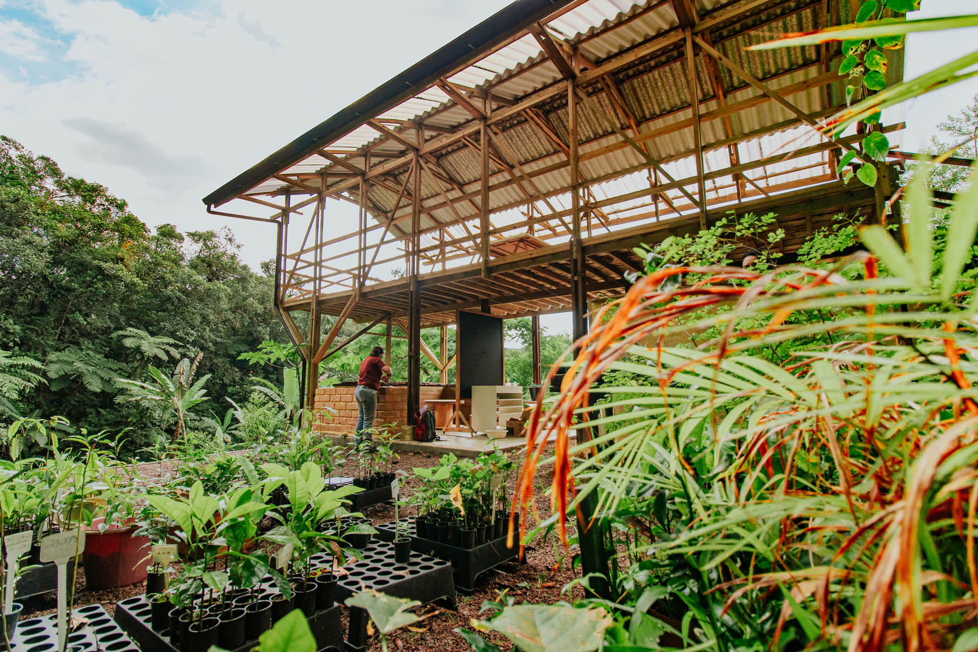 Como cientistas, um parque de experiências ecológicas, um aplicativo e uma fabricante de cachaças vêm trabalhando para restaurar a Mata Atlântica