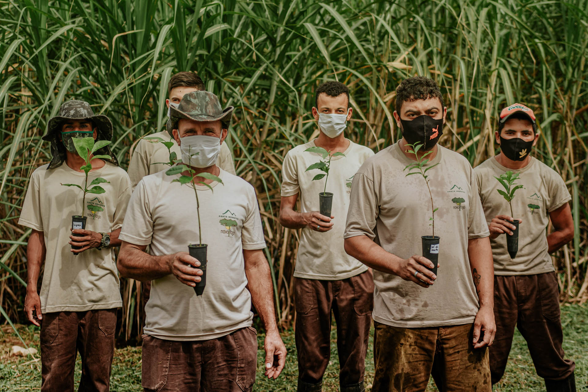 Qual a relação direta entre conservação dos solos, proteção de florestas maduras e a mitigação dos efeitos das mudanças climáticas?