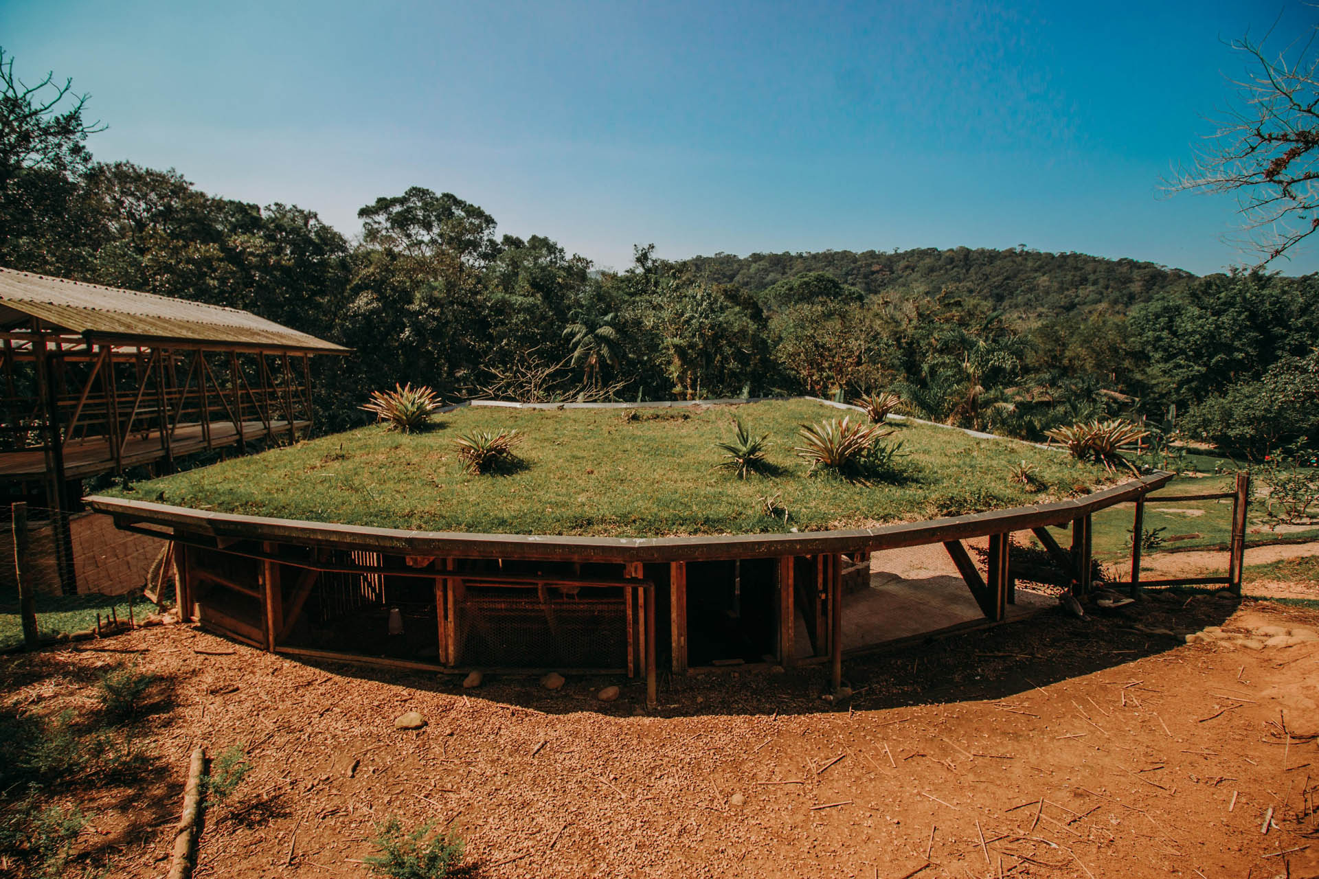 Ekôa Park promove curso sobre telhados verdes capazes de transformar cidades em espaços mais sustentáveis