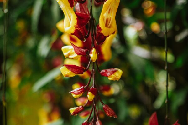 WhatsApp Image 2025-09-08 at 15.50.00 (1)