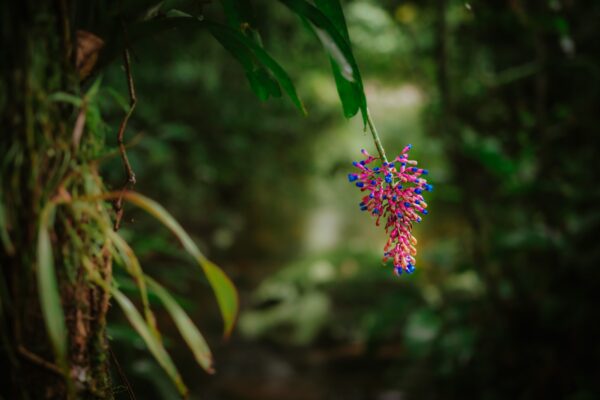 WhatsApp Image 2025-09-08 at 15.50.00 (2)