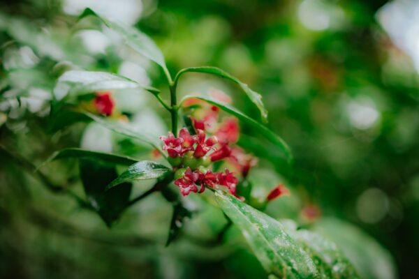 WhatsApp Image 2025-09-08 at 15.50.00 (3)