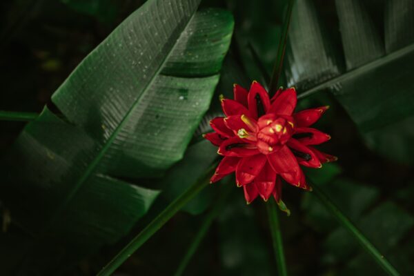 WhatsApp Image 2025-09-08 at 15.50.00 (5)