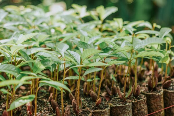 WhatsApp Image 2025-09-08 at 15.50.00