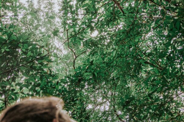 WhatsApp Image 2025-09-08 at 15.50.00 (8)