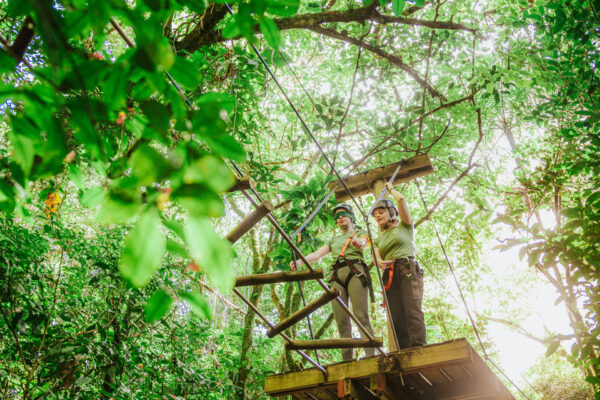 058-Albori-Ekoa-Evento-Renault-Maio