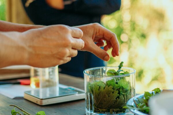 WhatsApp Image 2026-03-18 at 09.43.29 (5)